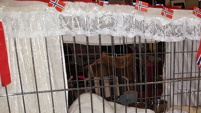 World Winner Show i Malmø, oktober 2015. 