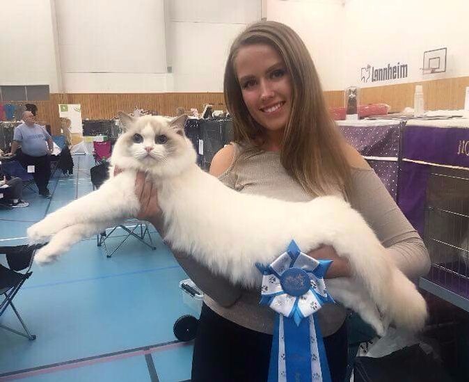 IC NO*Fagerlis Arete kan smykke seg med tittelen Junior Winner :)Arete og Martine på den store dagen i Kristiansund 2 sept-17. Første Junior Winner fra eget oppdrett.